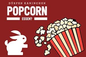 Dürfen Kaninchen Popcorn Essen? Lecker Oder Schädlich