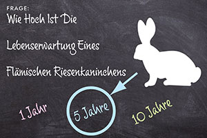 Wie Hoch Ist Die Lebenserwartung Eines Flämischen Riesenkaninchens?