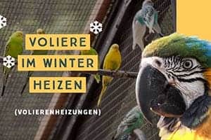 Volierenheizungen | Wie Man Eine Voliere (Vogelkäfig) Im Winter Heizt