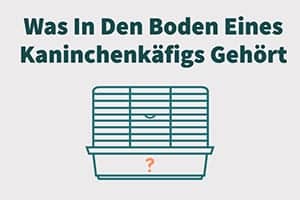 Was In Den Boden Eines Kaninchenkäfigs Gehört | 5 Beste Lösungen