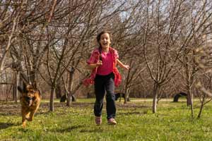 Sind Deutsche Schäferhunde Gut Mit Kindern? Ein Leitfaden Für Eltern