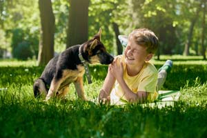 Sind Deutsche Schäferhunde Welpen Gut Mit Kindern?