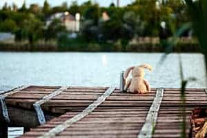 Mögen Kaninchen Schwimmen? (Wasser Zum Baden – Oder Nicht?)